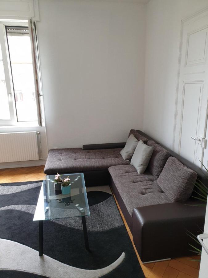 Strasbourg Centre Le 85, Superbe F5, 125M2, 5 Pieces Apartment Exterior photo